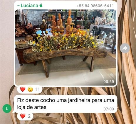 Feedback de aluna